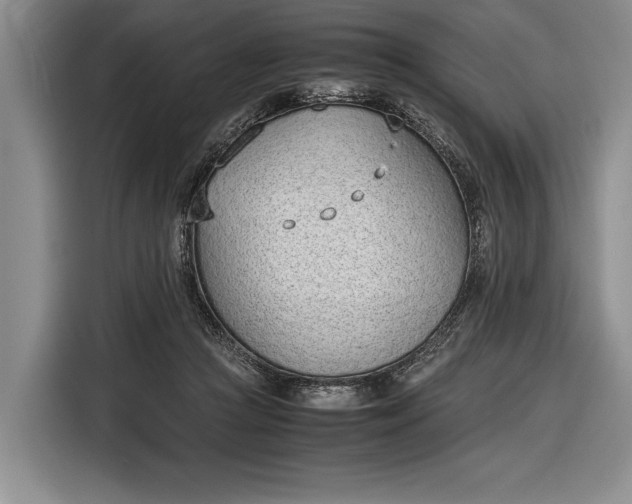 X0000116600361200912181151