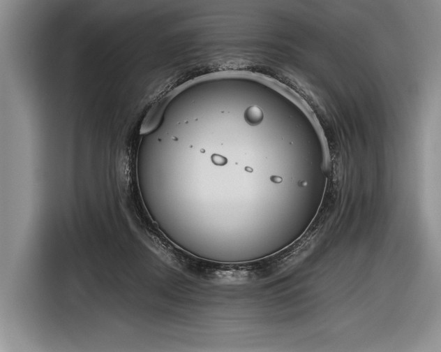 X0000116600362200912181151