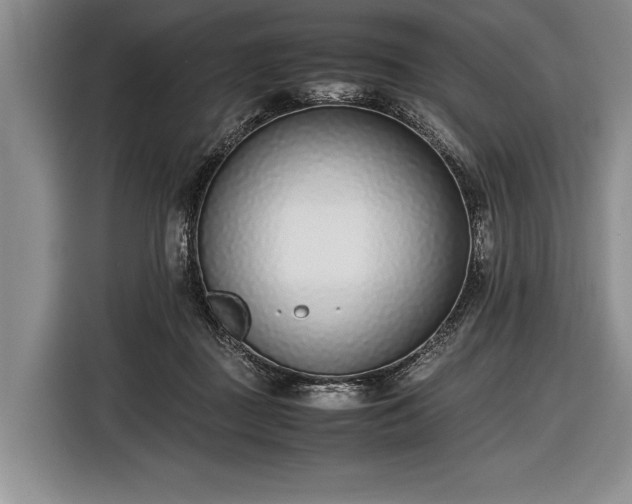 X0000116600363200912181151