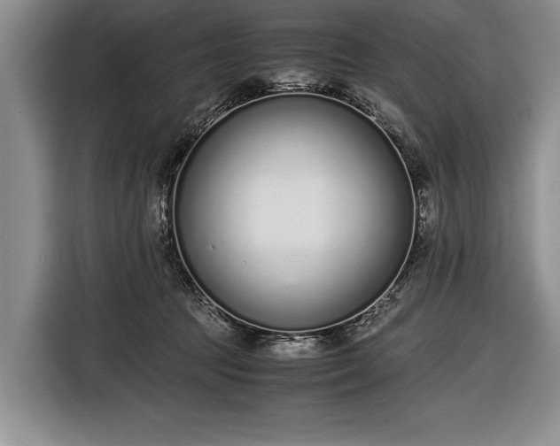 X0000116600369200912181151