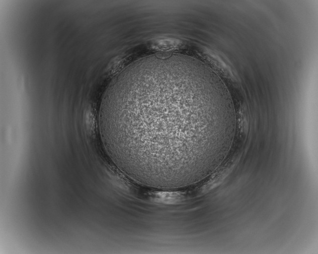 X0000116600371200912181151