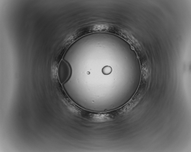 X0000116600375200912181151