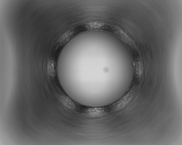 X0000116600378200912181151