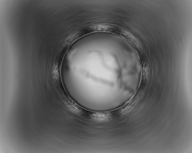 X0000116600381200912181151