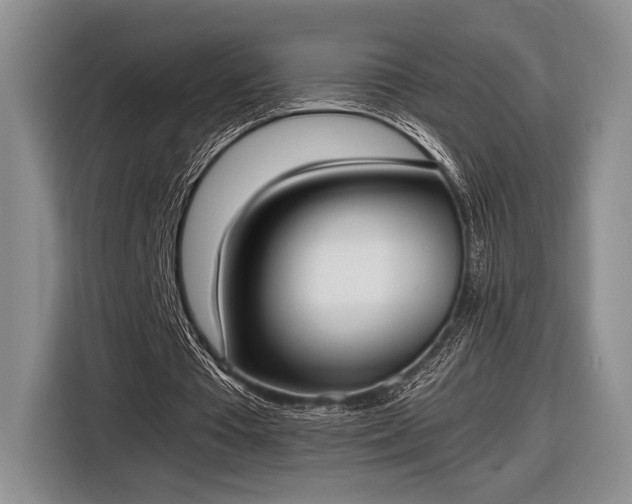 X0000116600385200912181150