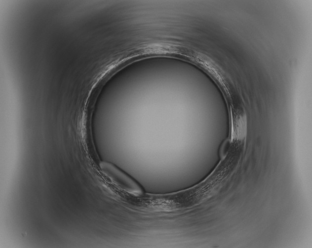 X0000116600387200912181150