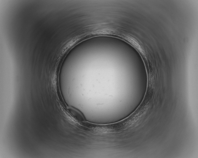 X0000116600389200912181150