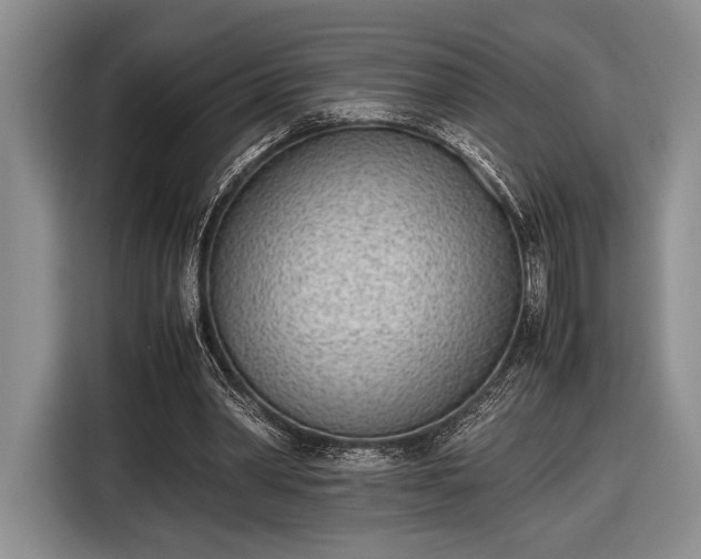 X0000116600390200912181150