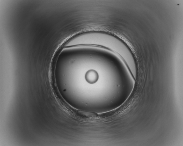 X0000116600391200912181150
