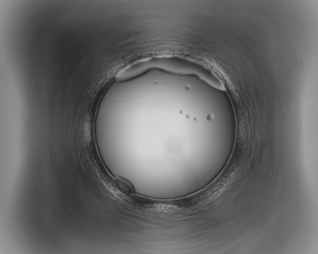 X0000116600393200912181150