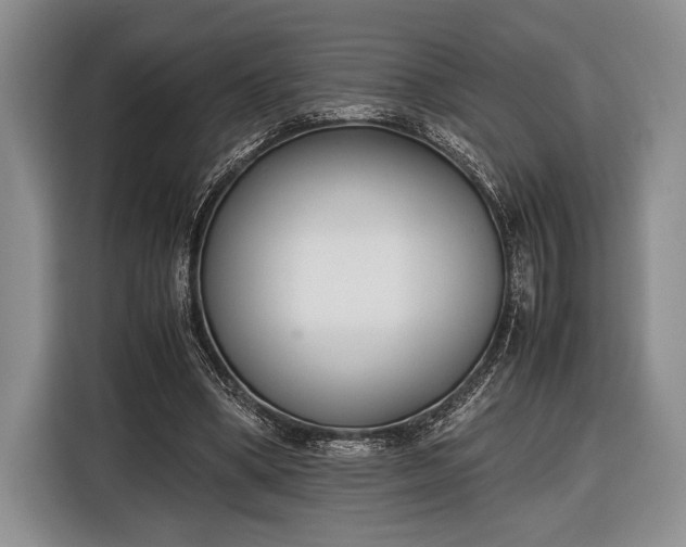 X0000116600394200912181150