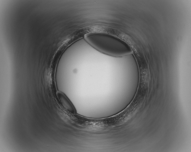 X0000116600395200912181150