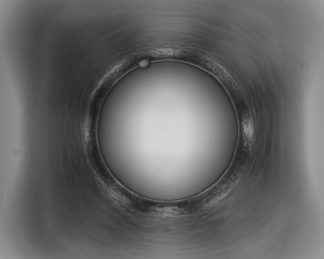 X0000116600396200912181150