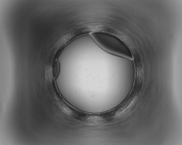 X0000116600397200912181150