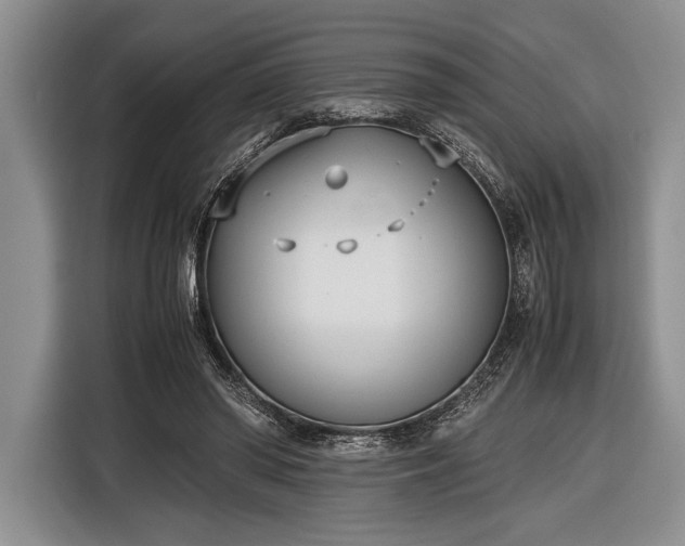 X0000116600398200912181150