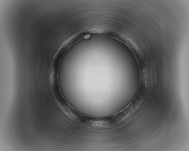 X0000116600400200912181150
