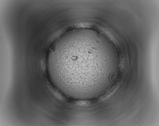 X0000116600402200912181150
