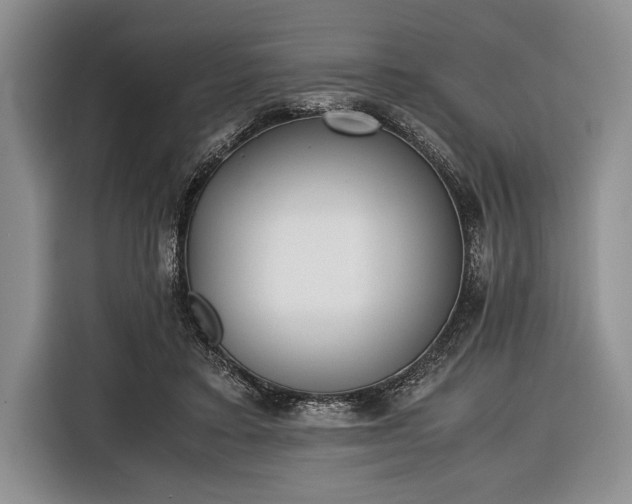 X0000116600403200912181150