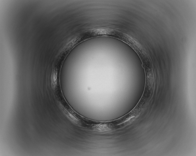 X0000116600406200912181150
