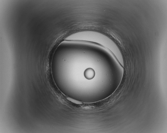 X0000116600407200912181150