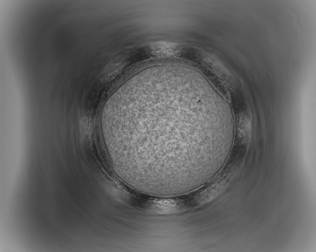 X0000116600409200912181150