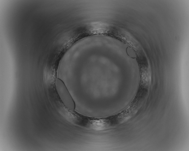 X0000116600411200912181150