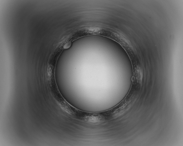 X0000116600412200912181150