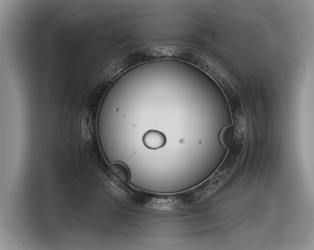 X0000116600414200912181150