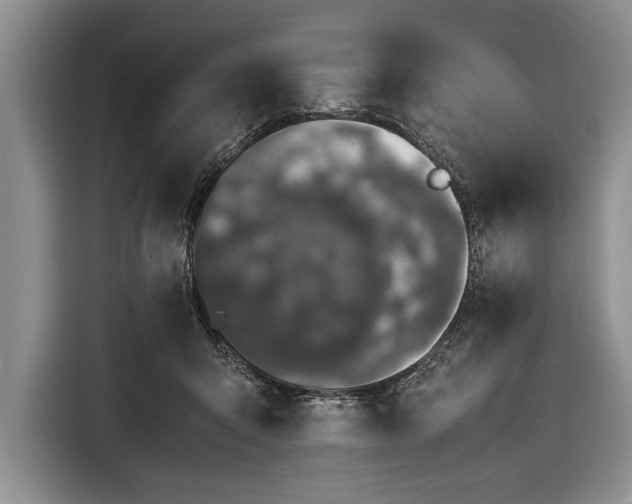 X0000116600415200912181150