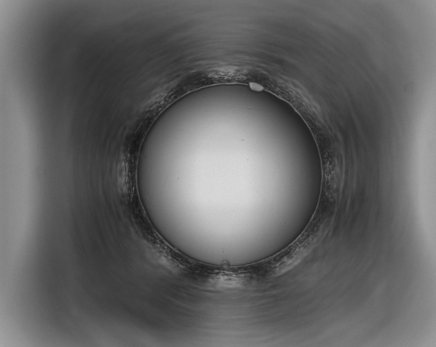 X0000116600416200912181150