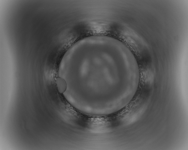 X0000116600419200912181150