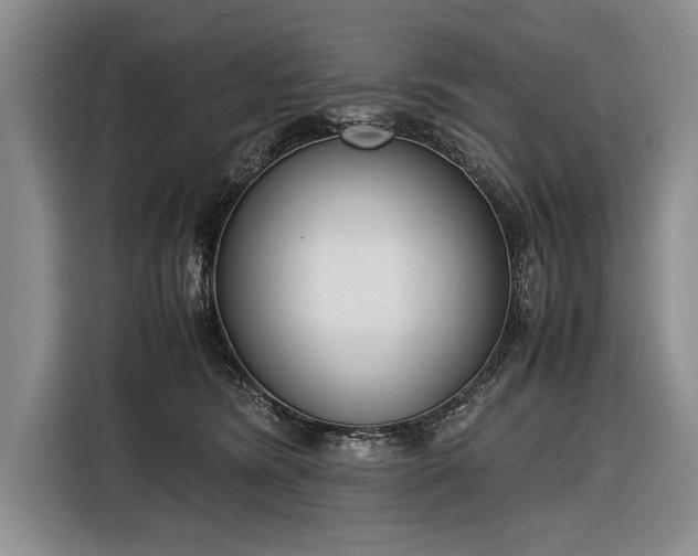 X0000116600420200912181150