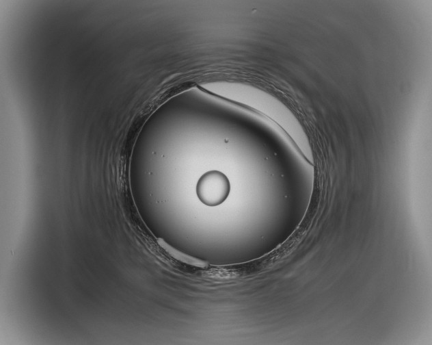 X0000116600421200912181150