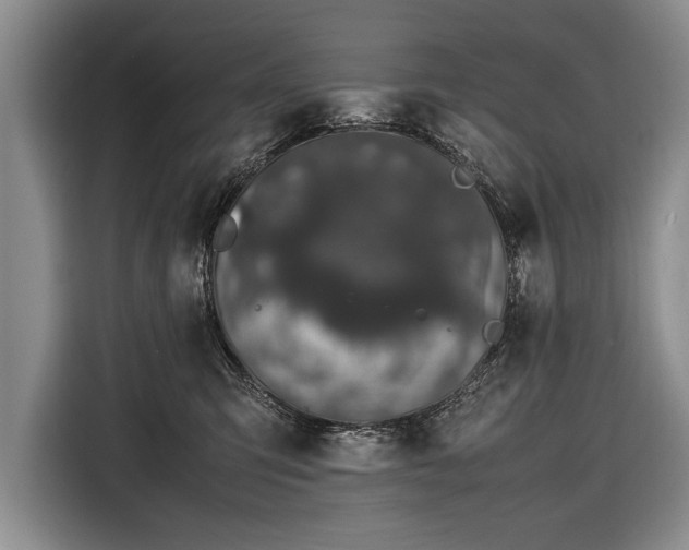X0000116600423200912181150