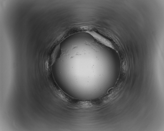 X0000116600424200912181150