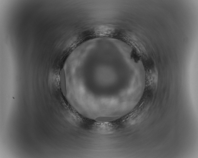 X0000116600427200912181150