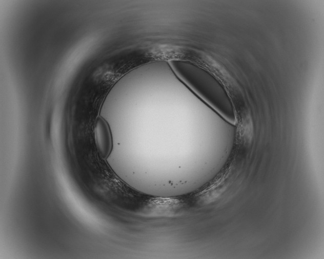 X0000116600429200912181150