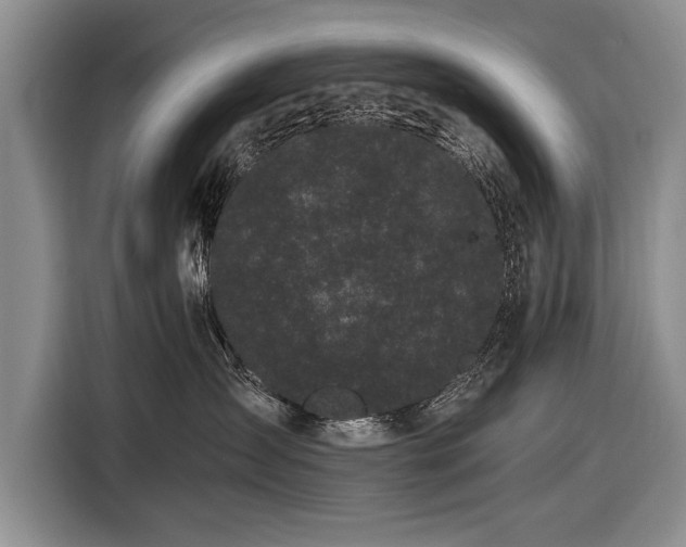 X0000116600431200912181150