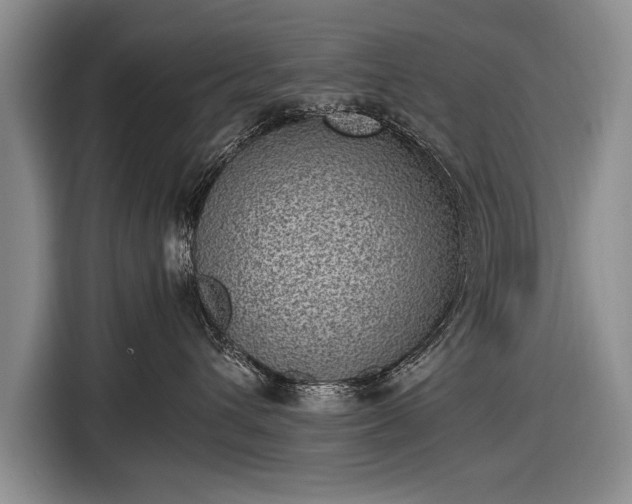 X0000116600432200912181150