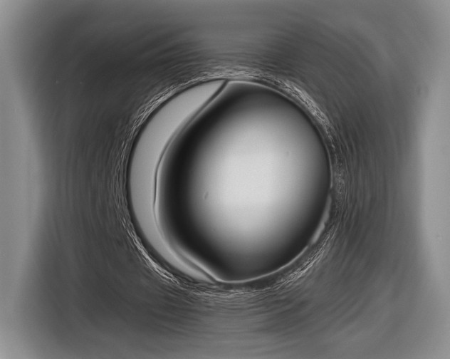 X0000116600433200912181149