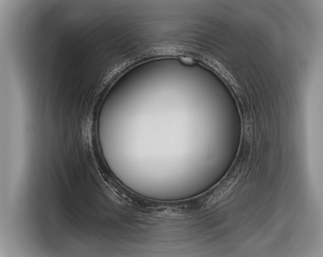 X0000116600434200912181149