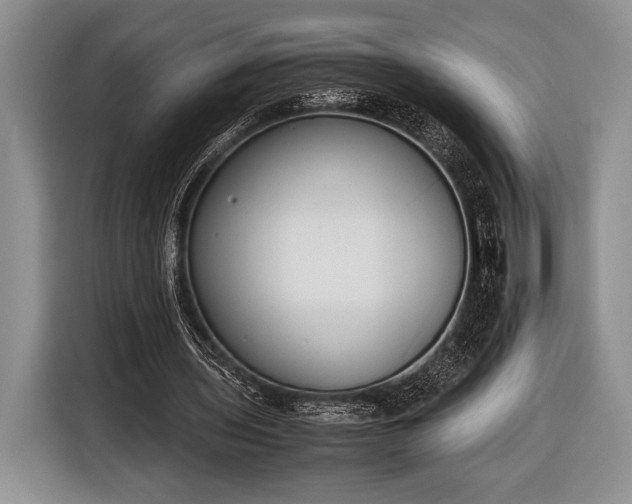 X0000116600435200912181149
