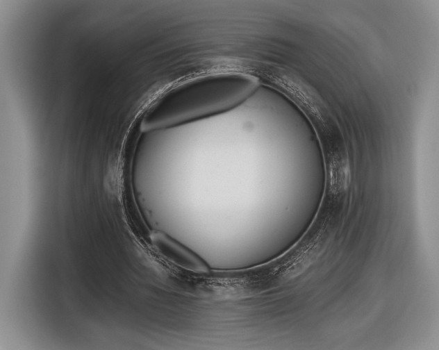 X0000116600436200912181149