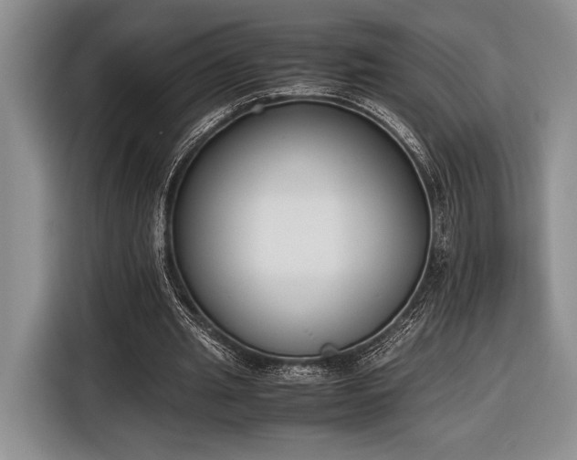X0000116600437200912181149