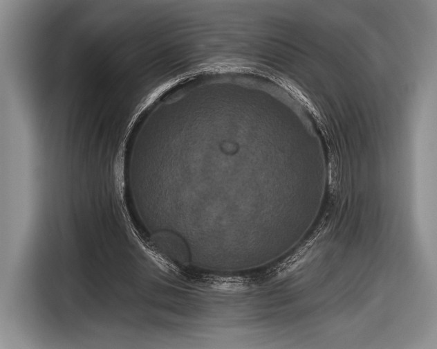 X0000116600438200912181149
