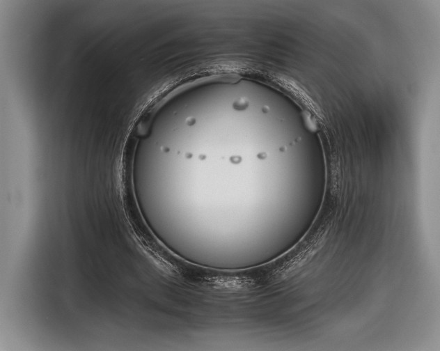 X0000116600439200912181149