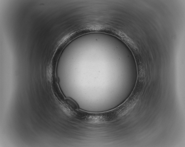 X0000116600440200912181149