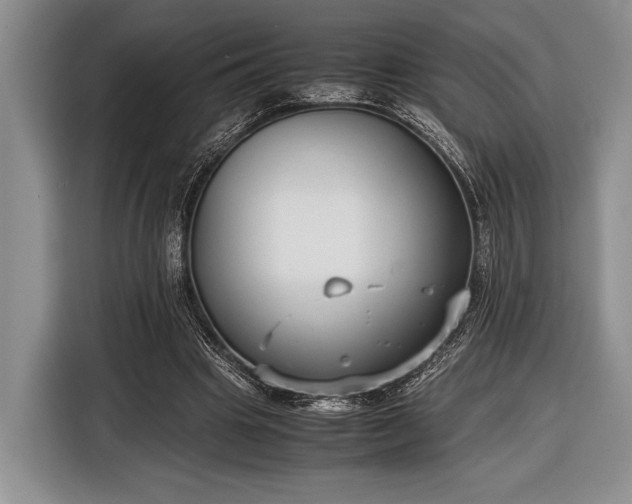 X0000116600441200912181149