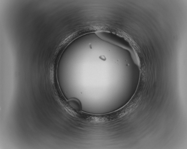 X0000116600442200912181149