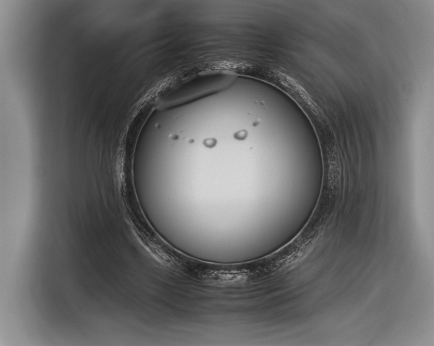 X0000116600443200912181149